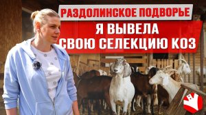 Козоводство | Семейная ферма на 150 голов | Производство сыра