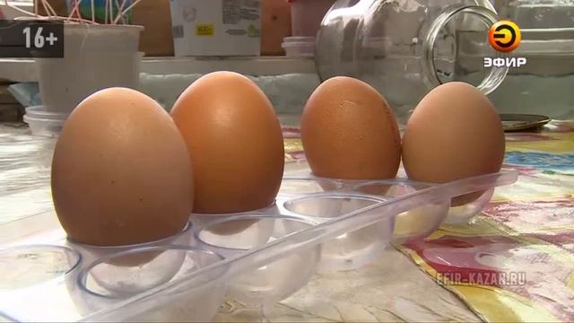 Необычные яйца появились в продаже на рынках Казани