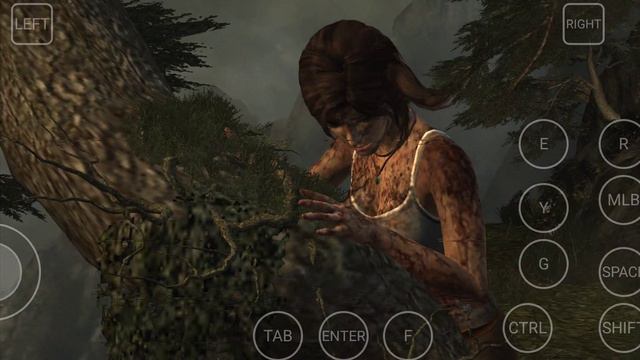 Tomb Raider 2013 /Poco F2 Pro смотреть онлайн