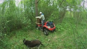 Как правильно поставить ловушку для пчел
