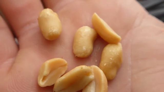 Central Tower of Torres del Paine, big wall expedition 2015 смотреть онлайн