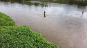 Нахлыст для начинающих. 5 вещей, которые вам необходимы.