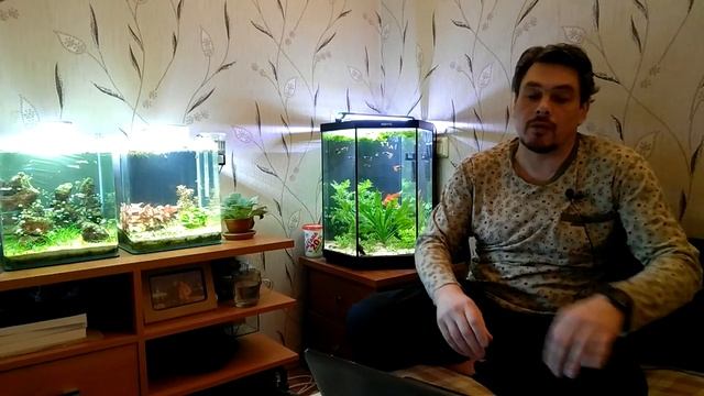 Выращивание аквариумных растений в тепличках. смотреть онлайн