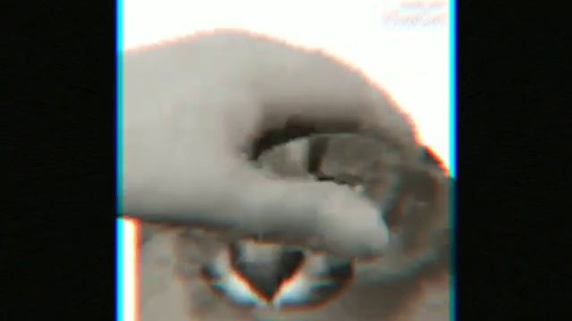 Шлепу гладят смотреть онлайн
