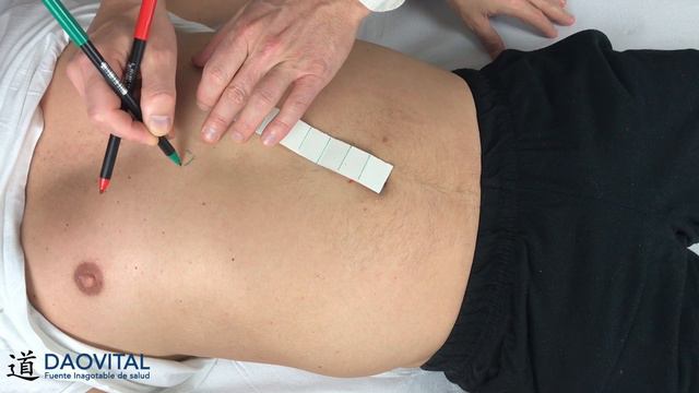 PUNTO 9 de REN MAI - 水分 - shuĭ fēn | retención de líquidos, sobrepeso, celulitis, ascitis смотреть онлайн