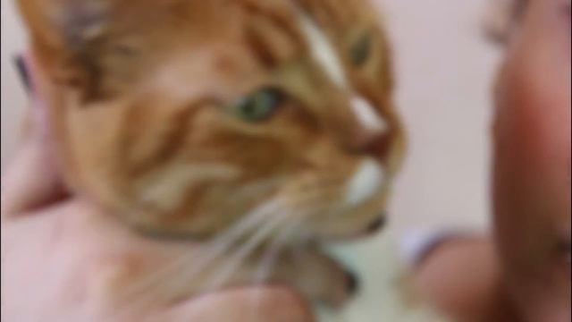 NUX [Mad Max : Fury Road] | Makeup Tutorial смотреть онлайн