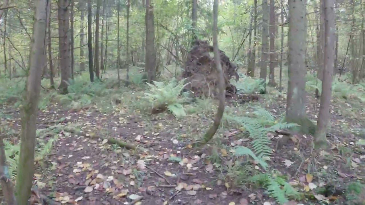 7.10.2022_11 смотреть онлайн