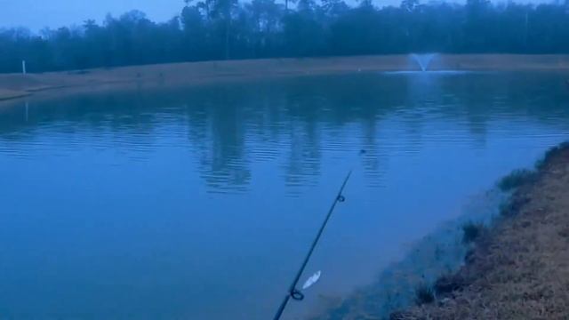 Fishing for Slab Crappie with Gulp! смотреть онлайн