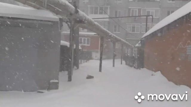 погода / много / снега / сказка #энем #афвиспкий #Дача ( 17 01 2021 ) смотреть онлайн