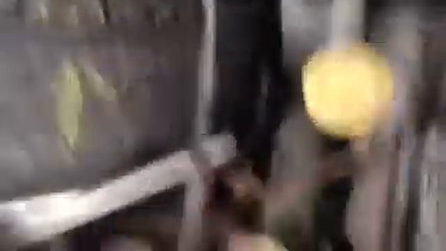 Контрактный двигатель Nissan Vanette Микроавтобус 5 ст. мех. Дизель 2.3 л 1998 смотреть онлайн