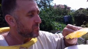 Колода 2016. Часть вторая _ Отбор мёда