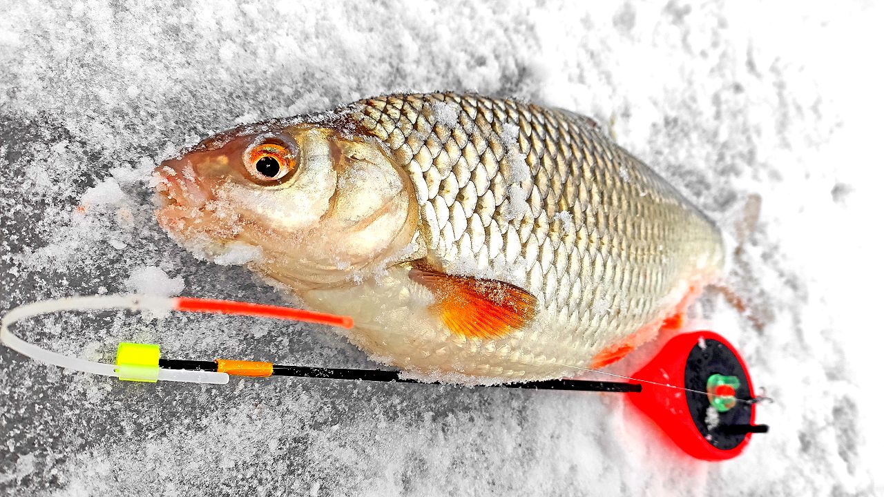 РЕКОРД ЭТОГО СЕЗОНА. Рыбалка на ОКЕ в феврале. Поиск рулит. смотреть онлайн