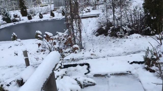 Пруд в мороз не замёрз смотреть онлайн