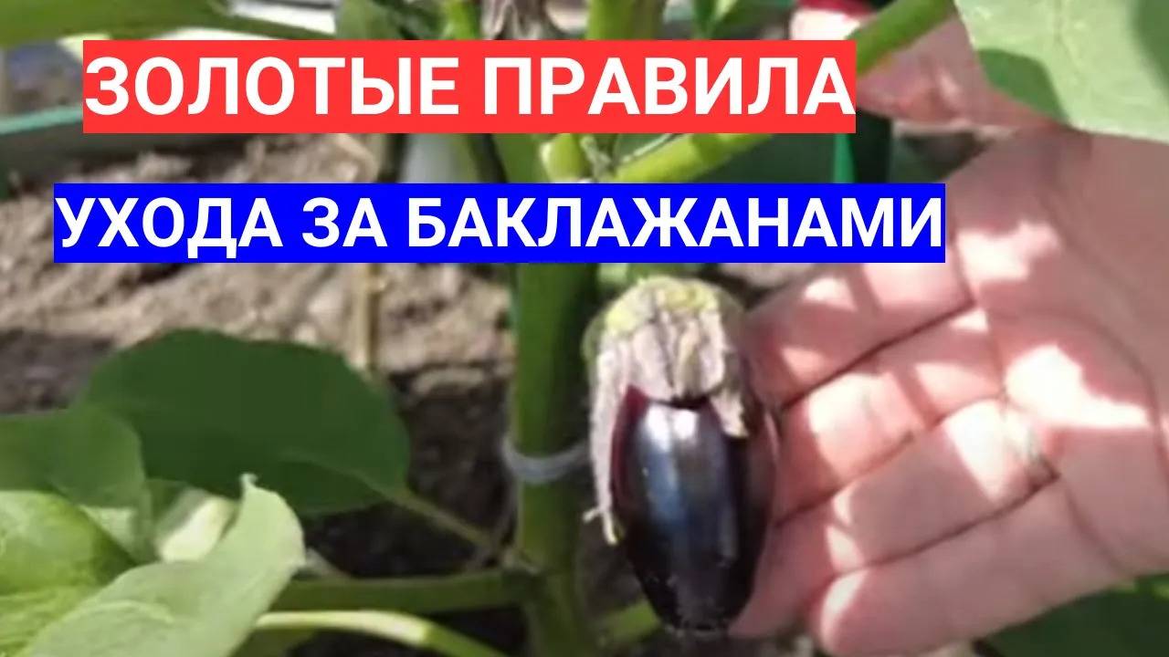 Садовый Мир