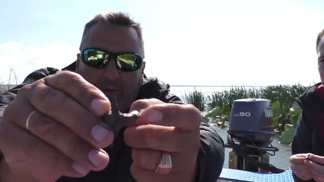 Лотосы в Ахтанизовском лимане и Чили́м водяно́й оре́х . смотреть онлайн