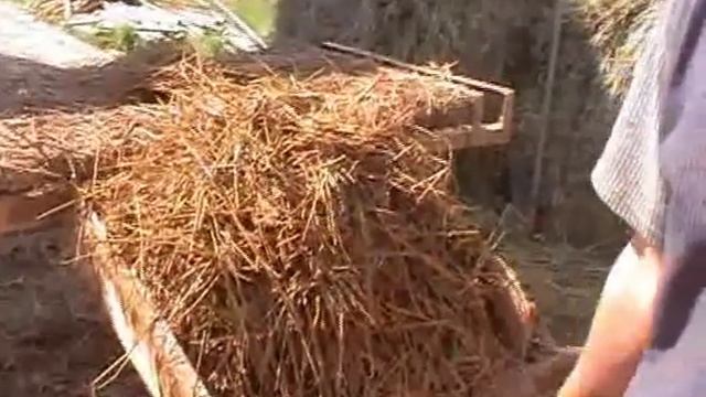 Дом за 20 дней и 32 000 рублей