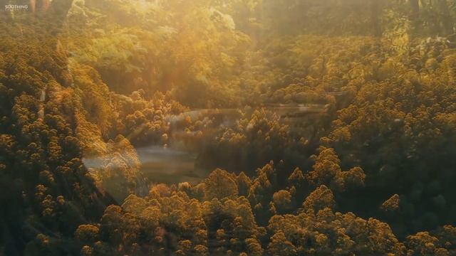 Dhammakaya Meditation RU - Seven bases of Mind - Семь баз ума (Медитация+Музыка) смотреть онлайн