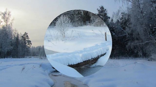 ЧАППИ , ГУЛЯТЬ !!! смотреть онлайн