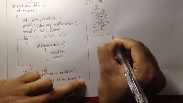 C programming Bangla Tutorial 5.103 : Prime number | মৌলিক সংখ্যা নির্ণয়ের জন্য A,F,C смотреть онлайн