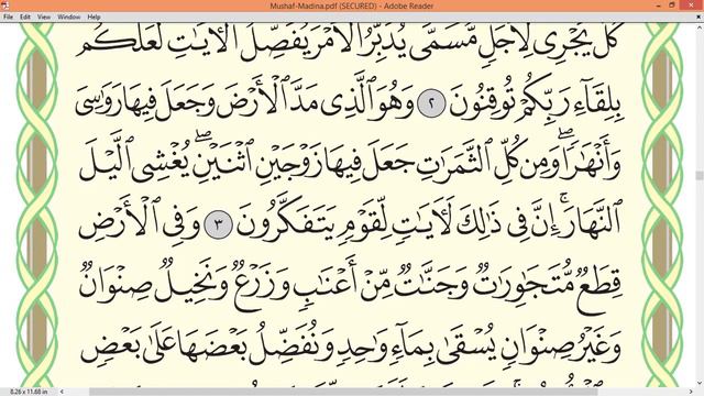 Ayman Suwayd Surah Ar Ra'd page 249 смотреть онлайн