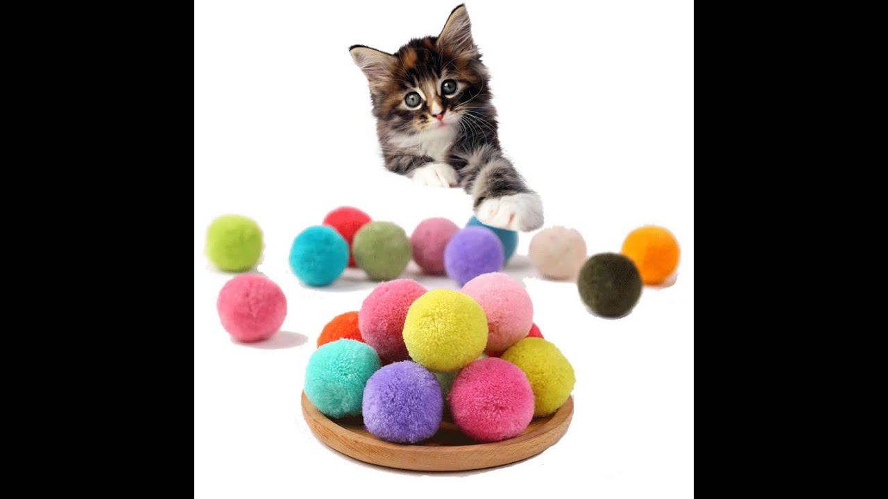 #котики играют (Черныш)