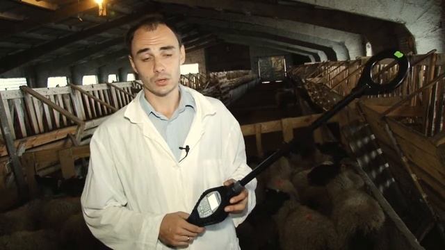 Семинар в АПХ "Унгор" по электронной идентификации животных и автоматизации ферм смотреть онлайн