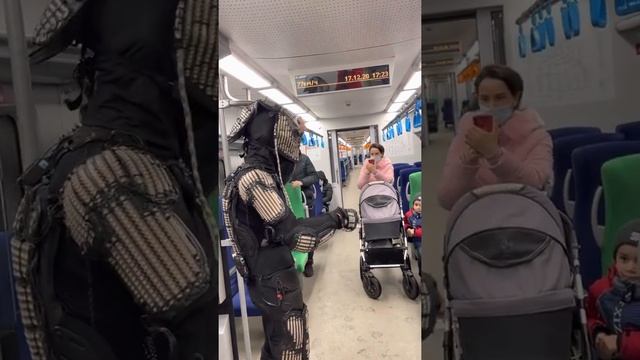 Хищники в Москве, шоу в МЦК смотреть онлайн