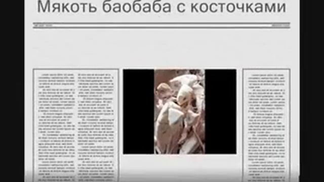 Промо Баобаб (подборка фото)