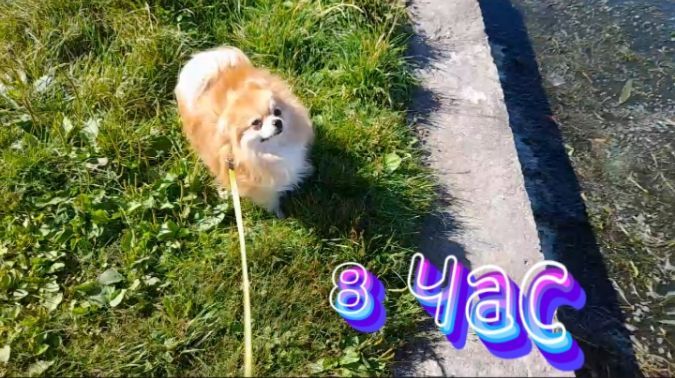 24 Часа на Набережной**Лайк не Хочет Уходить**.