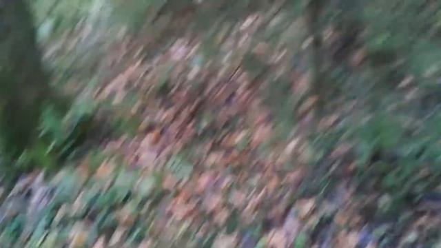 Рыбалка+ Грибы смотреть онлайн