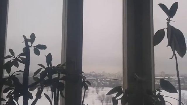 Магическая одежда смотреть онлайн