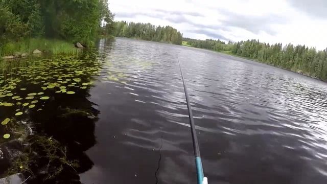 Сравнение сетей на улов/Китайская трехстенка/Финка/Ловля щуки