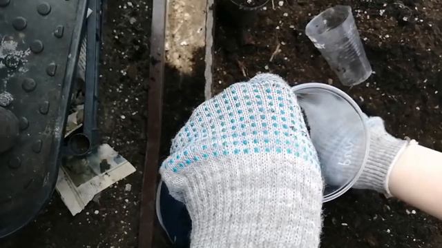 ЗАКЛЮЧИТЕЛЬНЫЙ ДЕНЬ НЕДЕЛЬНОГО МАРАФОНА😉СУШУ АЛИССУМ 😘БОЛТАЛКА-ПЕРЕВАЛКА🌱😁