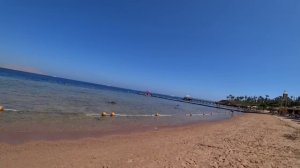 Египет ?? Высокий рейтинг Сиерра Пляж Савой/ Территория обед пляж/ Шарм Эль Шейх/ Коралловый риф