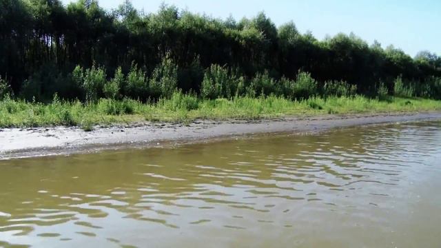 Первомайское LIFE! Охота и рыбалка смотреть онлайн