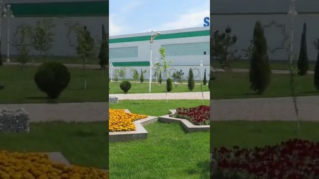 ? Весенние цветы в Парке Ашхабад в Ташкенте #uzbekistan #узбекистан #ташкент #tashkent #flowers смотреть онлайн