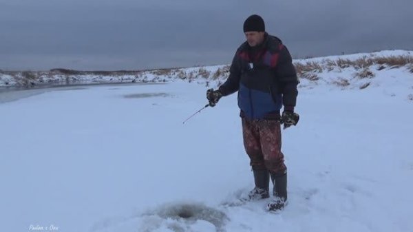 Этот РАТТЛИН опять...! Рыбалка на Жерлицы и Балансир 2023-2024!