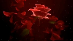 Улица РОЗ 🌹🌹🌹🌹🌹 / Ария (Кипелов)