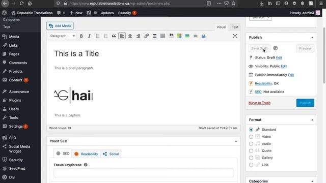 Basic WordPress Overview & Management Tutorial - Part 3: Posts | Xansibar Design смотреть онлайн