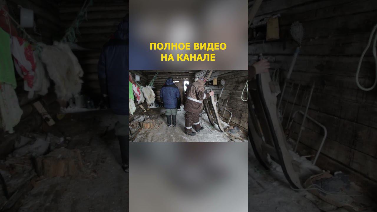 24 НЕВЕРОЯТНОЕ ПУТЕШЕСТВИЕ ДРУЗЕЙ НА КРАЙНИЙ СЕВЕР Дыхание Арктики Малоземельская тундр смотреть онлайн