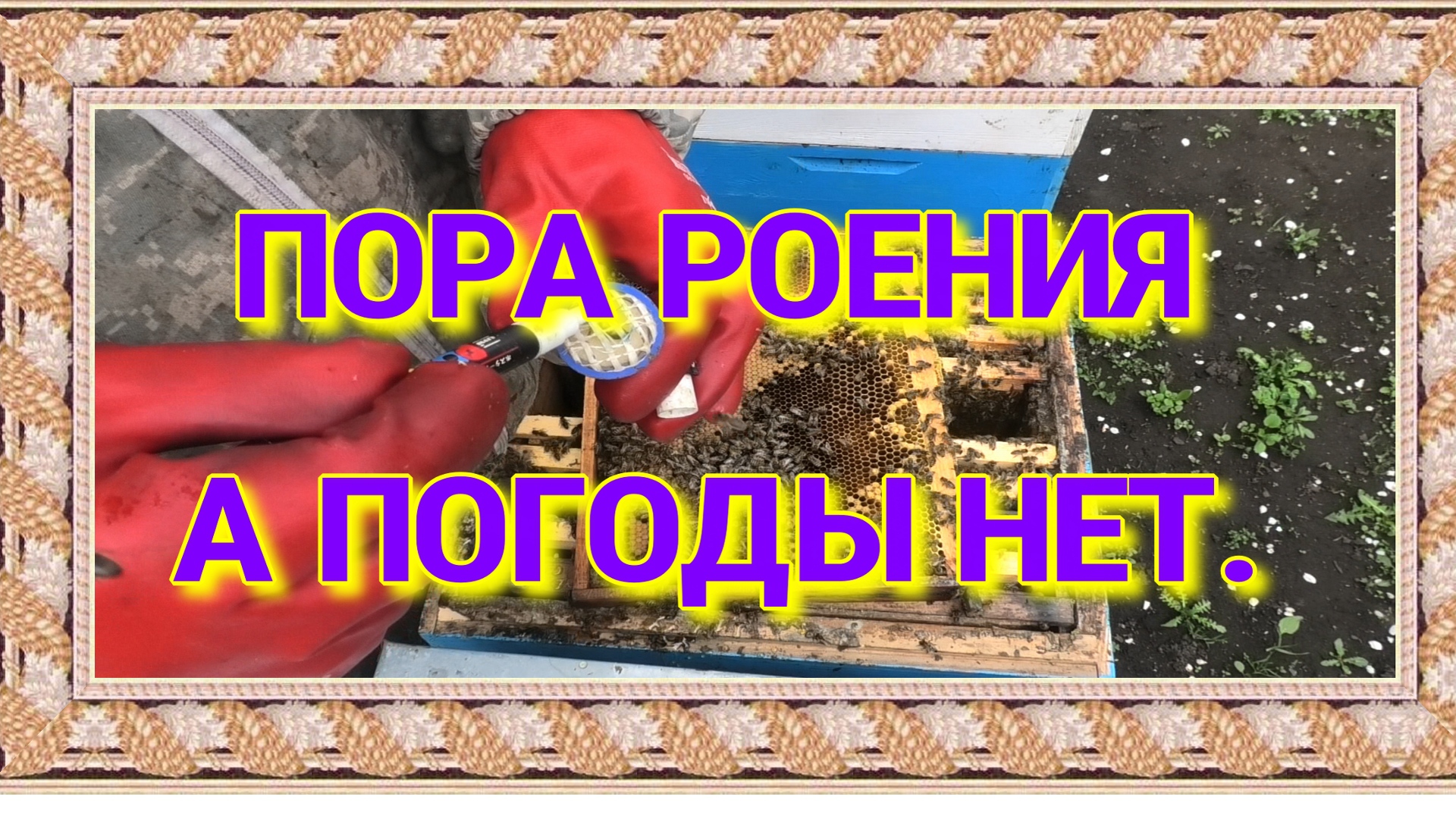 КОНТРОЛЬ СЕМЕЙ,МАТОЧНИКИ,ХОЛОДНАЯ ВЕСНА..mp4 смотреть онлайн