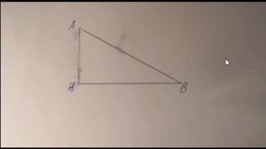 Измерение высоты дерева