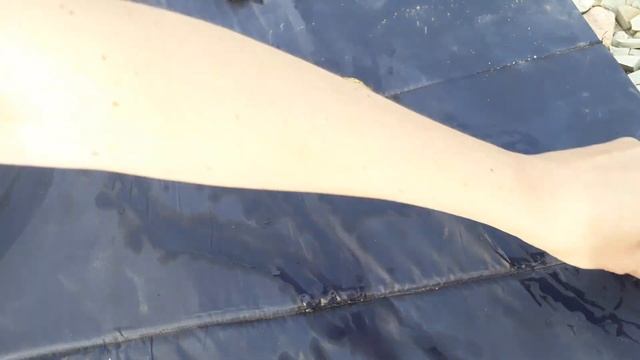 Обзор на ракушки, Черное море. РАК ОТШЕЛЬНИК. смотреть онлайн