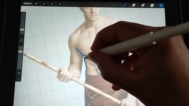 Aprendiendo A Dibujar: Anatomía