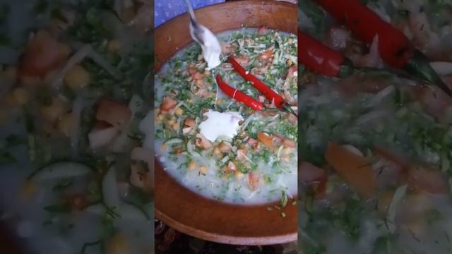 оши тупа бдай ????бамаза