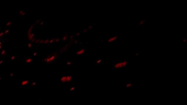 рено лагуна 2 смотреть онлайн