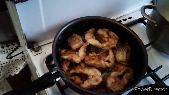 Исторические Открытия