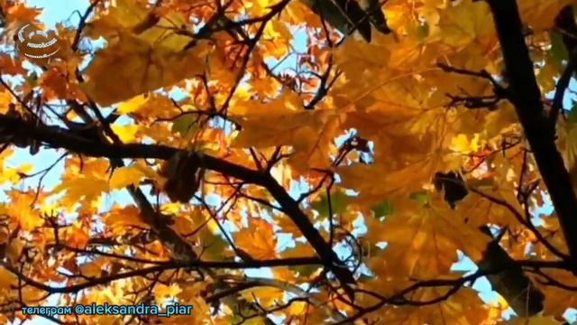 Не забуду смотреть онлайн