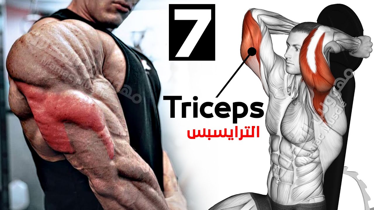 Как быстро накачать трицепс (7 эффективных упражнений) смотреть онлайн