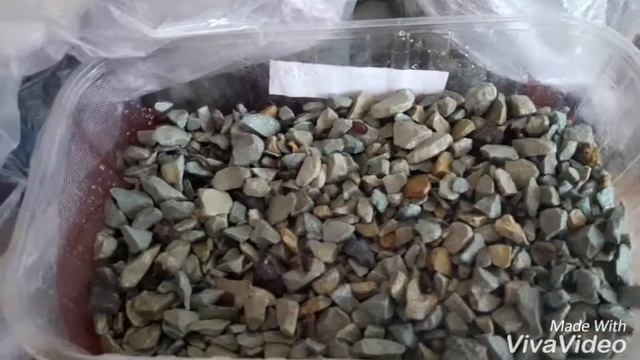 AliExpress:Семена,посадка,всходы в цеолите🌱🌳 смотреть онлайн